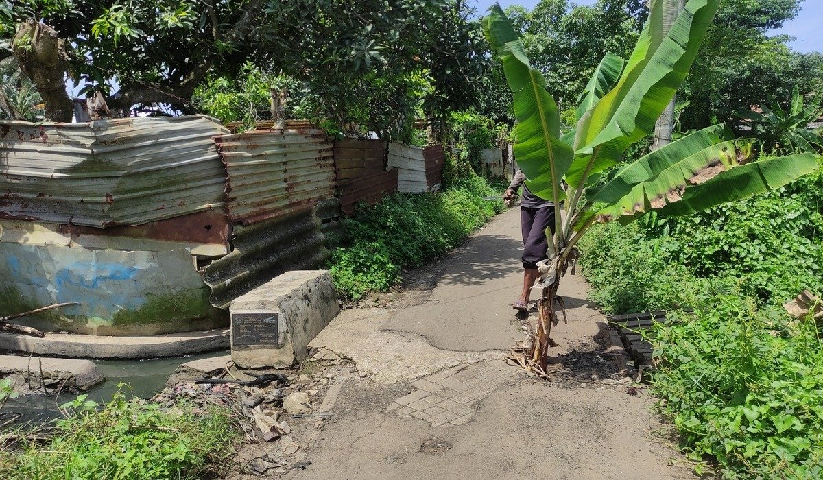 Jalan Rusak, Warga Tanam Pohon Pisang Ditengah Jalan