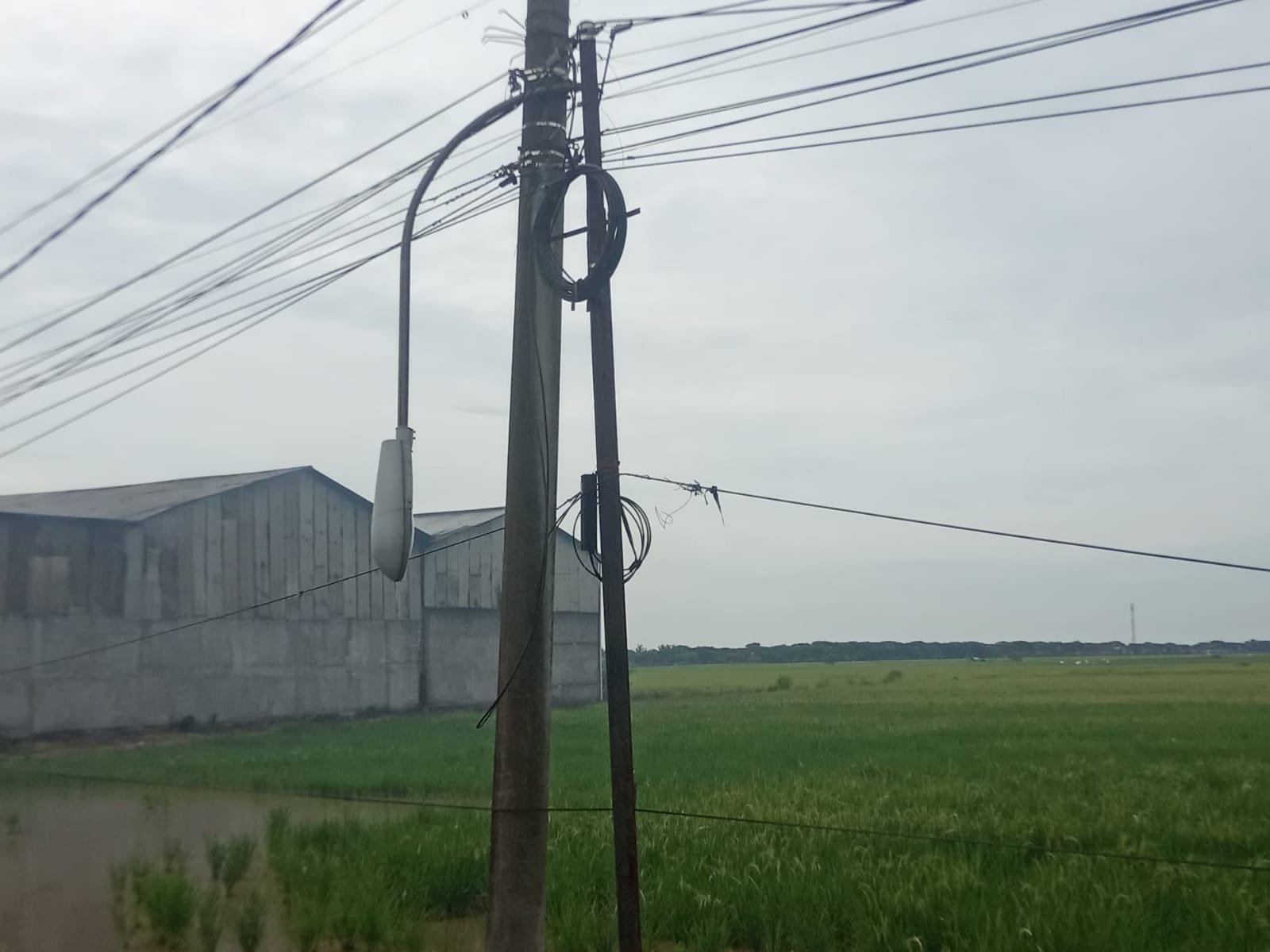 PJU di Jalan Mauk-Kronjo Mati, Pemuda Minta Dishub Kabupaten Tangerang Segera Perbaiki
