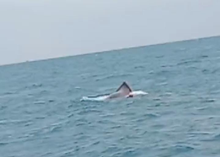 Kapal KM Usaha Baru Alami Kecelakaan di Perairan Pulau Bokor, Satu ABK Masih Hilang