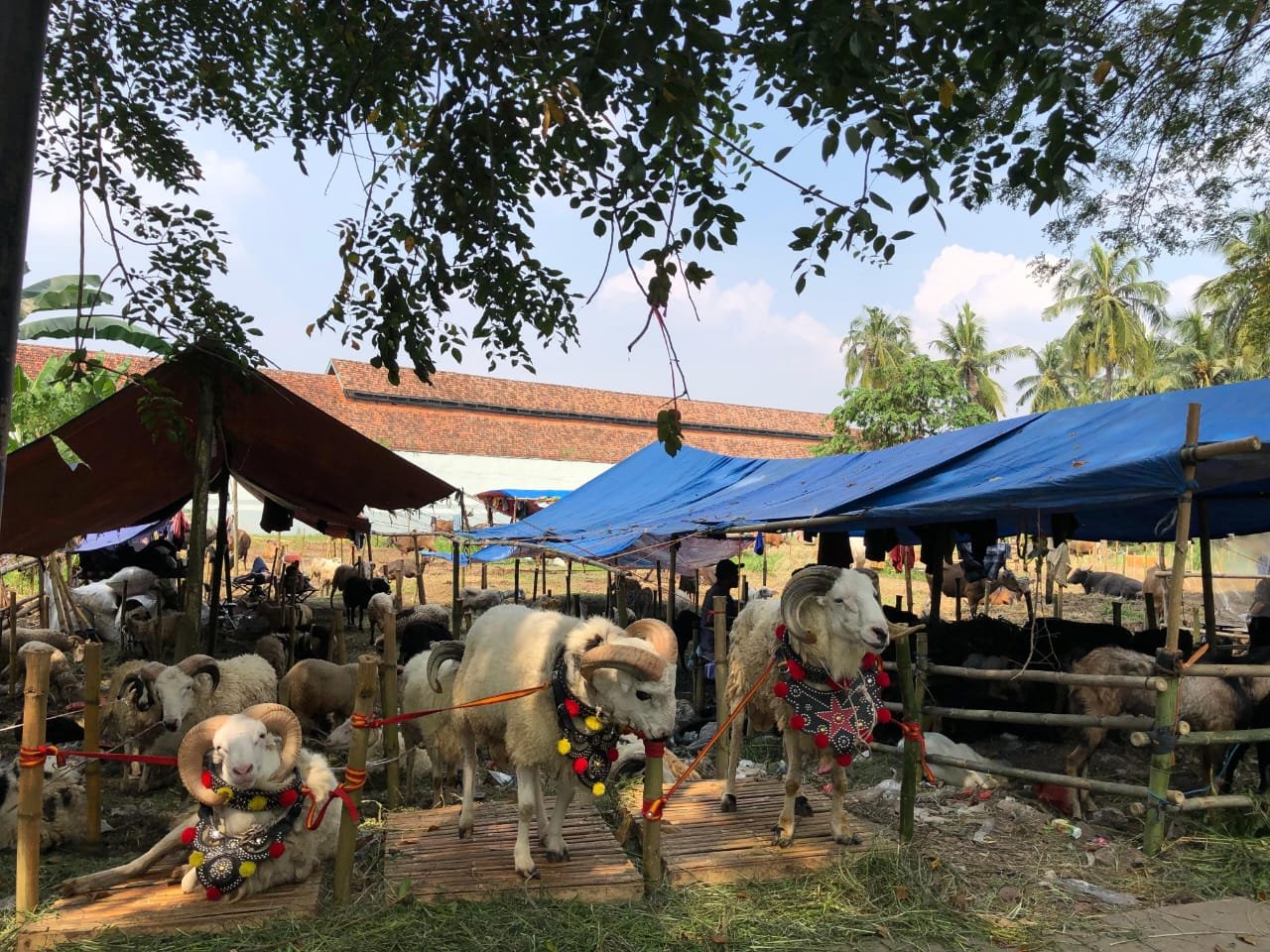 Tak Hanya Berdagang, Penjual Hewan Kurban di Tangerang Ini Prioritaskan Kesehatan dan Keamanan