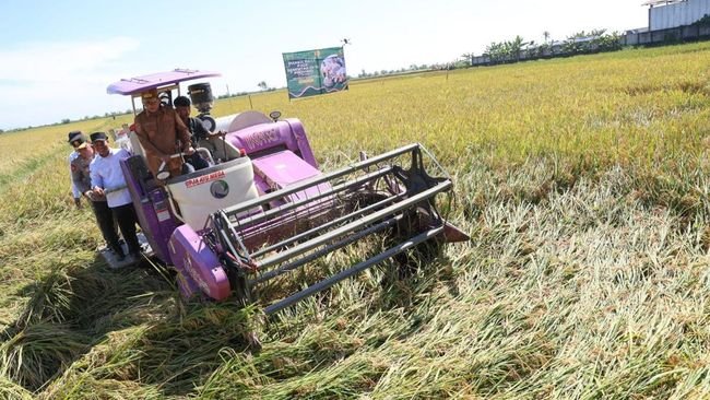 Andra Soni : Harga Gabah Kering Rp6.500 per Kilogram