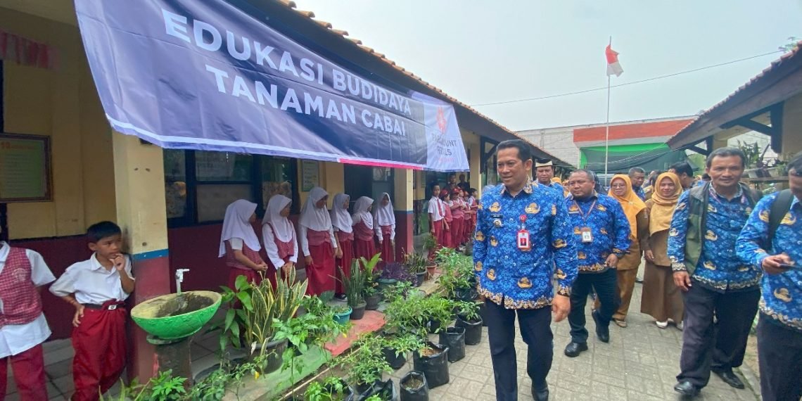 Pj Bupati Tangerang Tinjau Budidaya Tanaman Cabai di Lima Sekolah