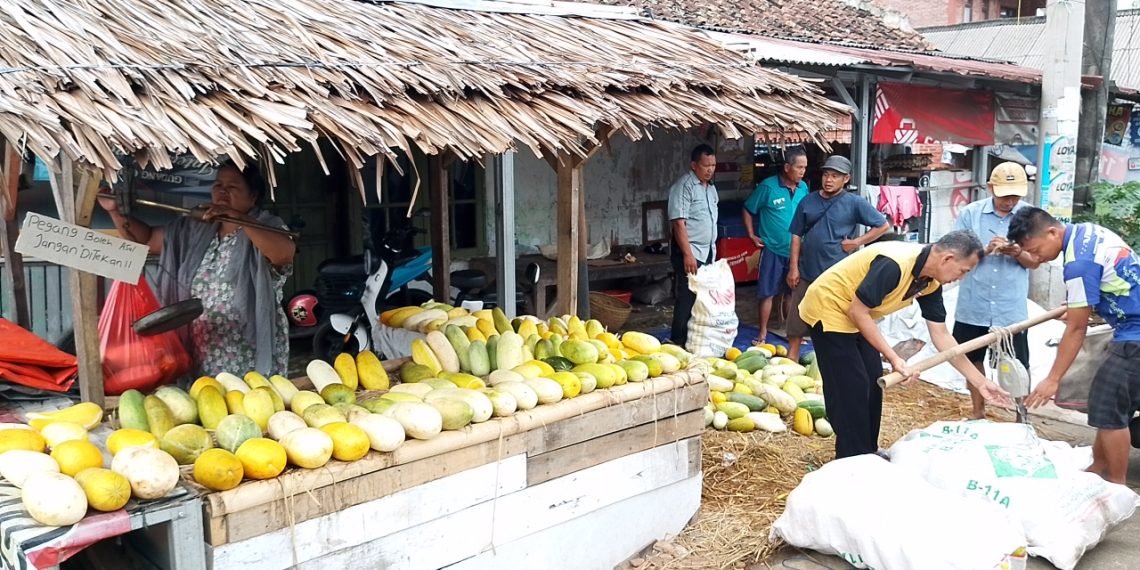 Ramadan, Pedagang Timun Suri di Pandeglang Mulai Beraksi