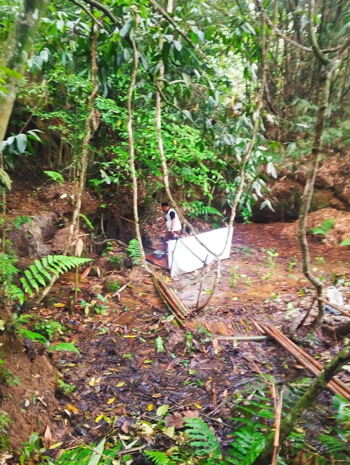 Fenomena Alam, Air Jernih Mengalir dari Akar Pohon Beringin di Desa Tapos Tigaraksa